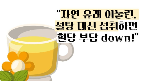 돼지감자차 효능과 부작용