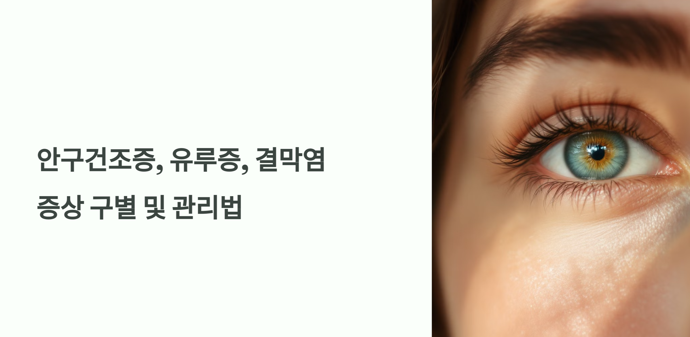 주제에 대한 사진