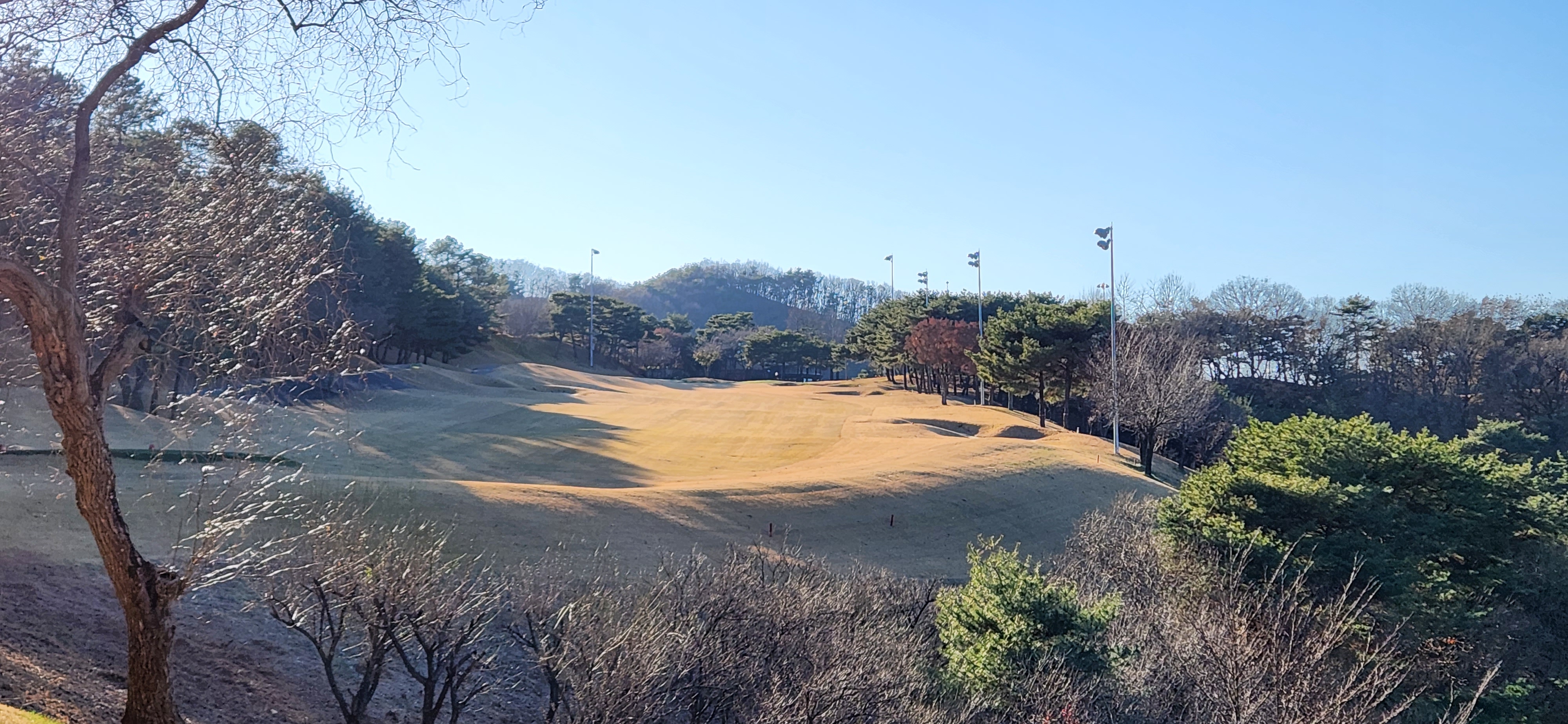 파인크리크