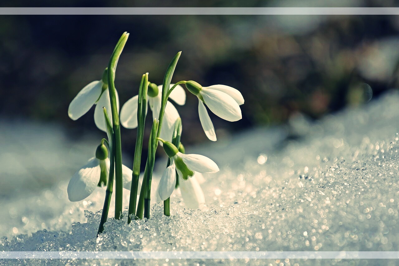 위고비 설사 부작용, 언제까지 지속되고 어떻게 조절할까?