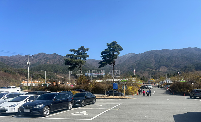 2025 구례 산수유축제 실시간 주차장
