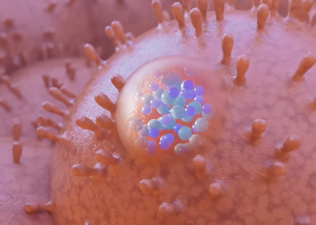 클라미디아 감염 경로