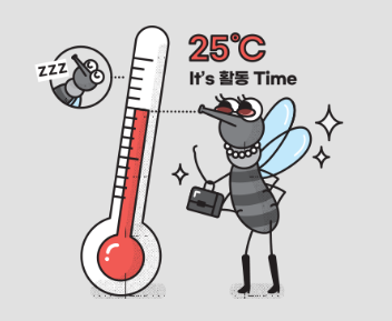 여름철 해충 발생 원인 및 박멸 방법