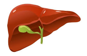지방간 없애는 방법