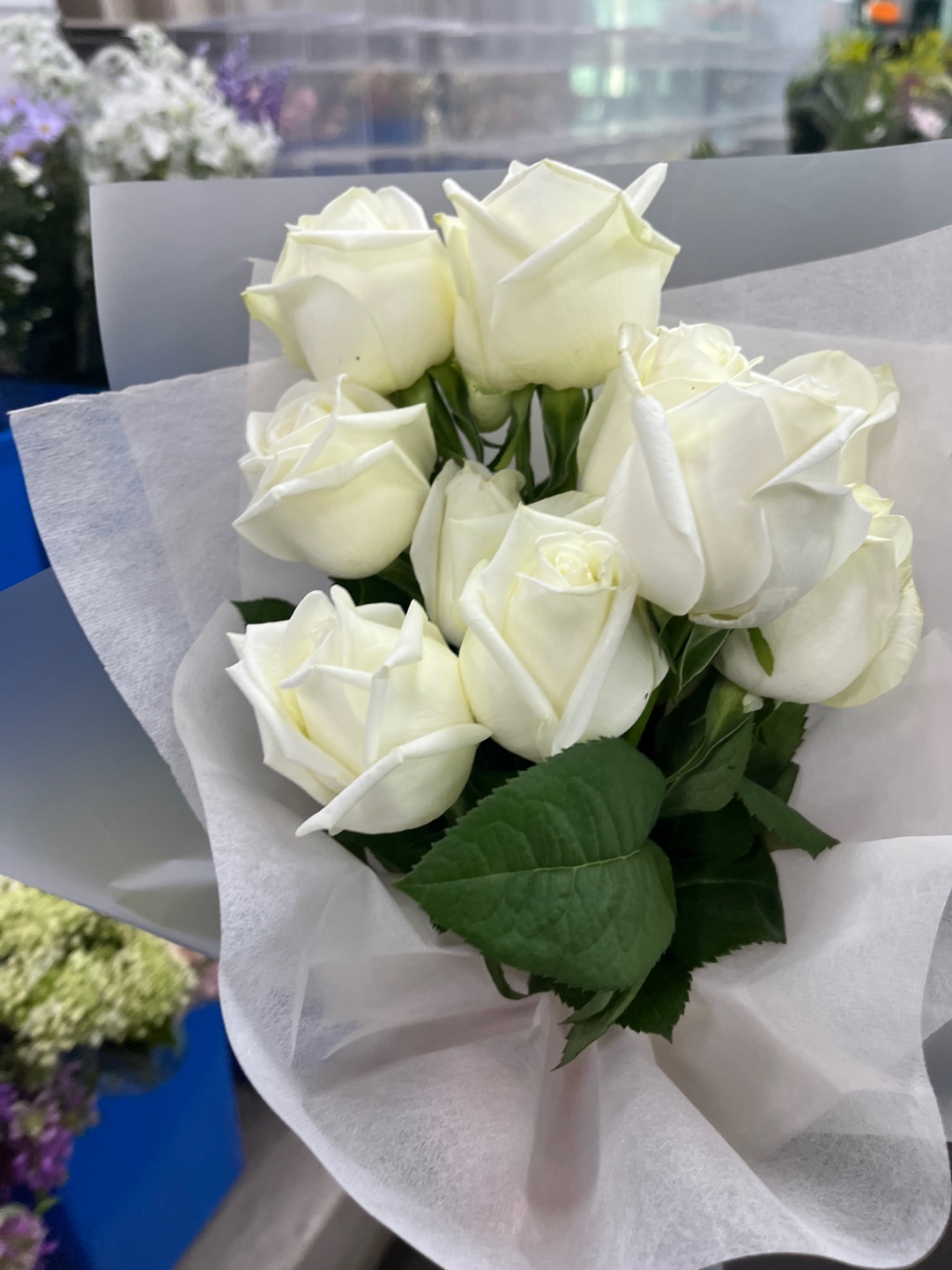 엄궁화훼단지 공주꽃집