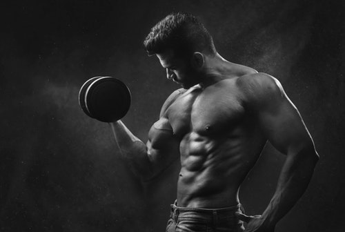 벌크업 이란? 벌크업 뜻