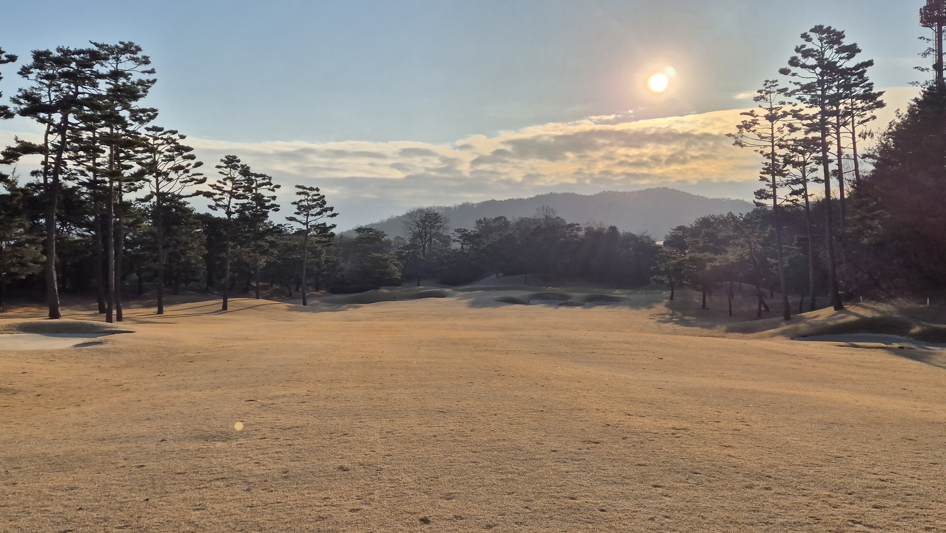 솔모로cc