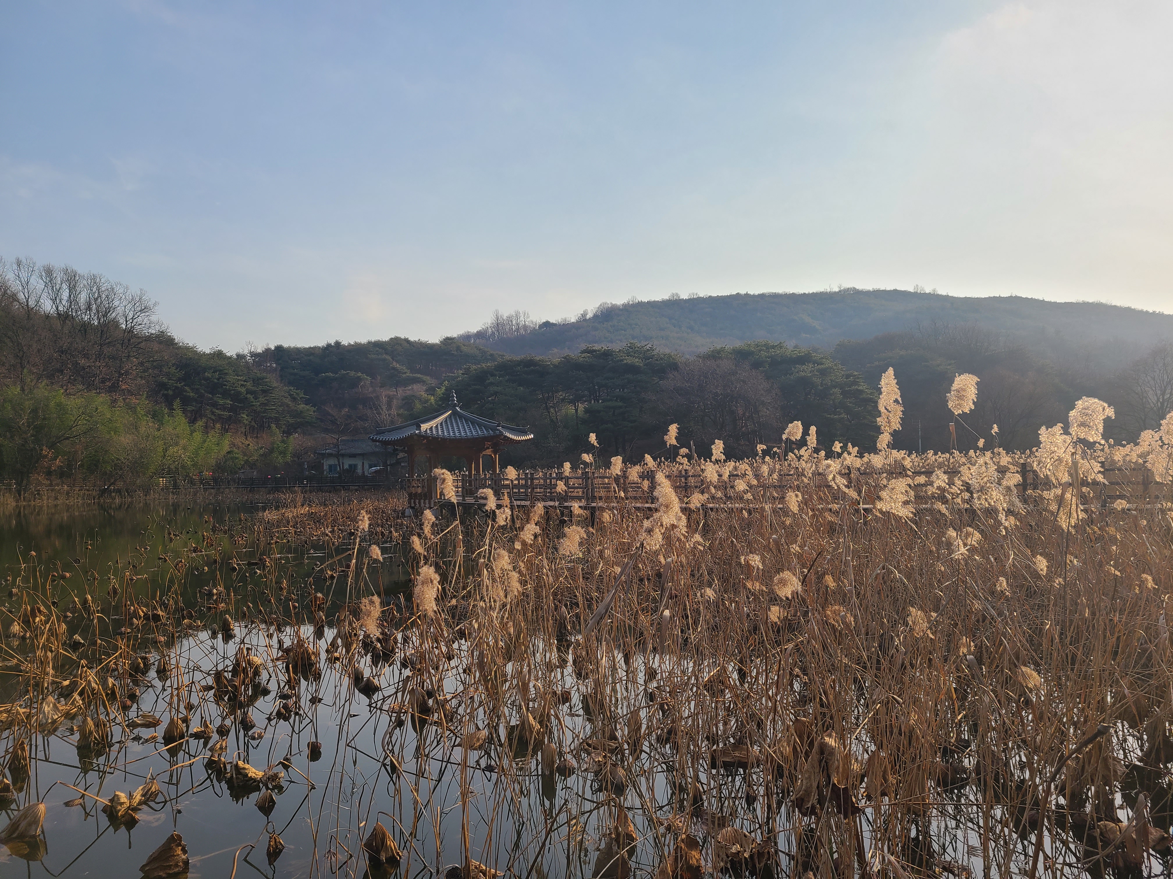 틀모산 저수지 틀모산못 기제지