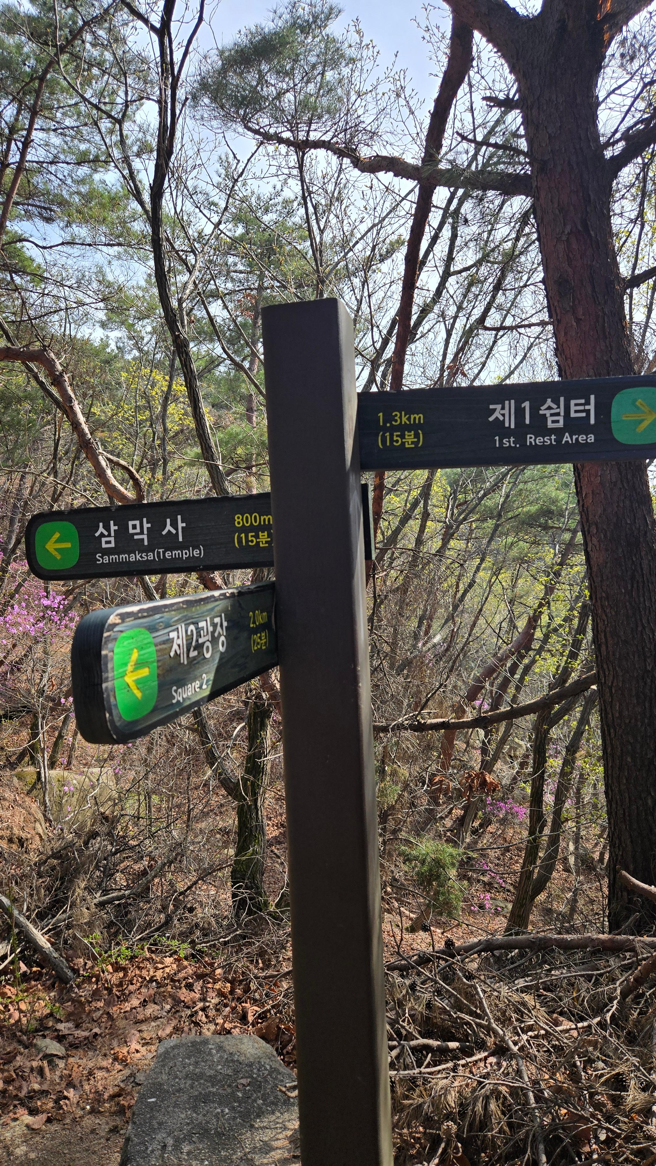 서울대입구 출발 코스 