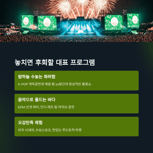 놓치면 후회할 대표 프로그램