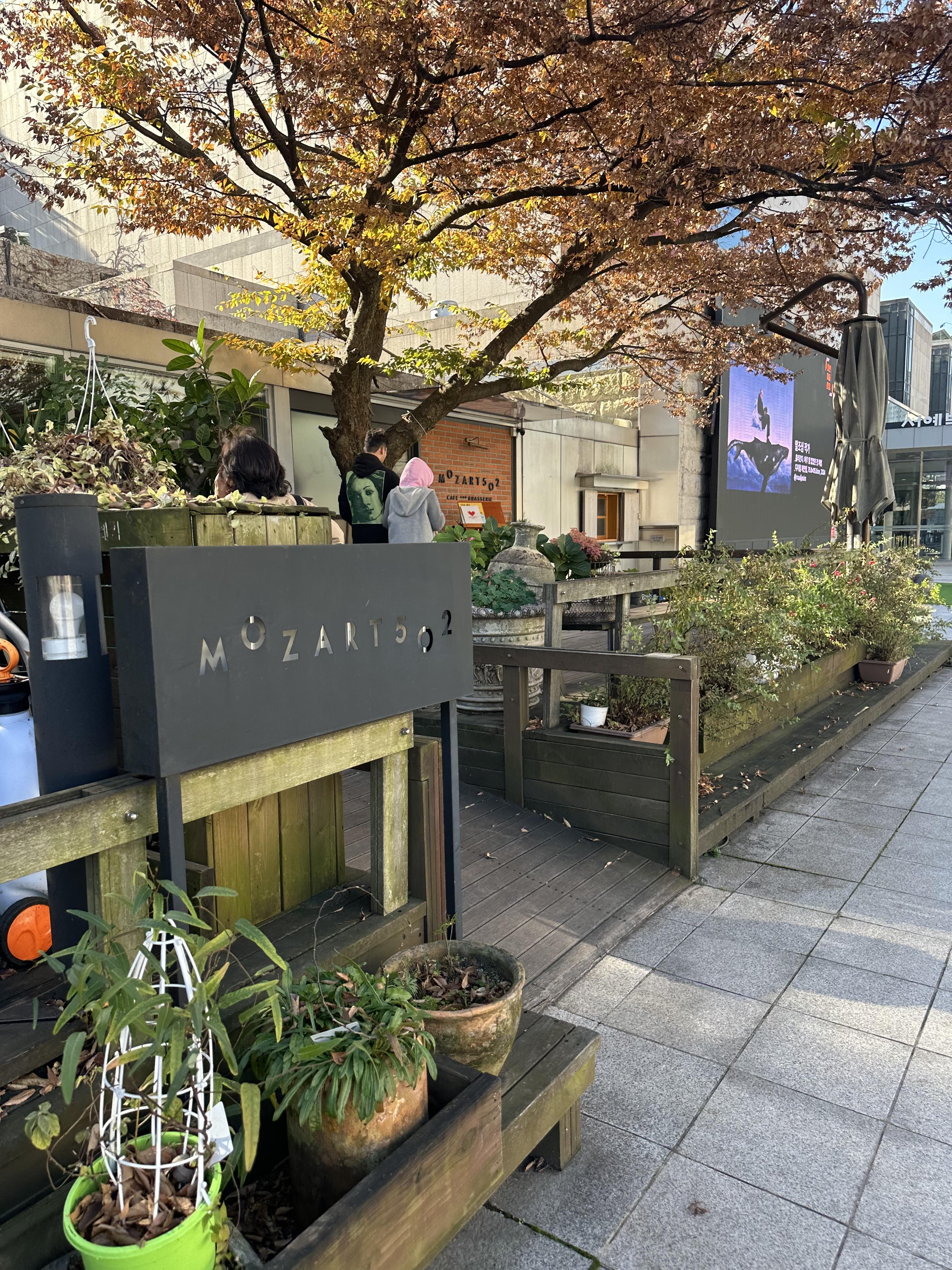 모차르트 502 