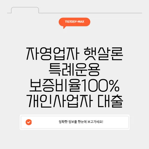 자영업자 햇살론 특례운용 보증비율100% 개인사업자 대출