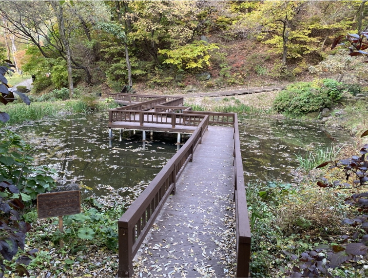 용인자연휴양림