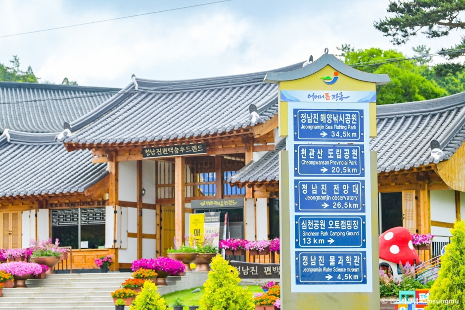 장흥 가볼만한곳 베스트10