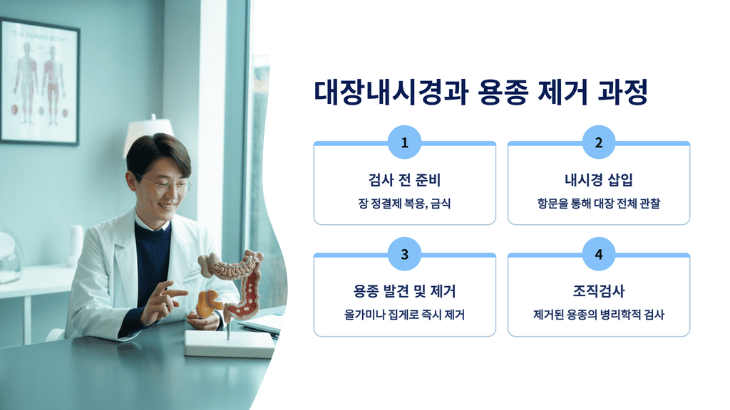 대장내시경과 용종 제거 과정