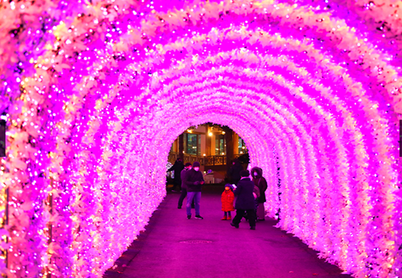 오색별빛정원전