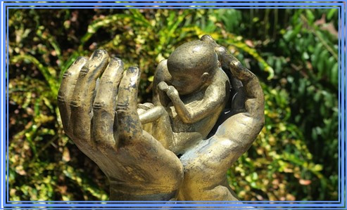 태아 발달과정 자세히 알아보자