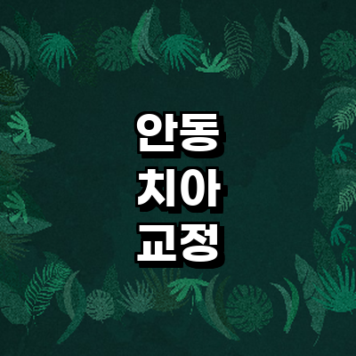 안동시 교정 치과