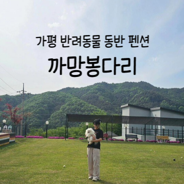 반려동물-동반-가평-펜션