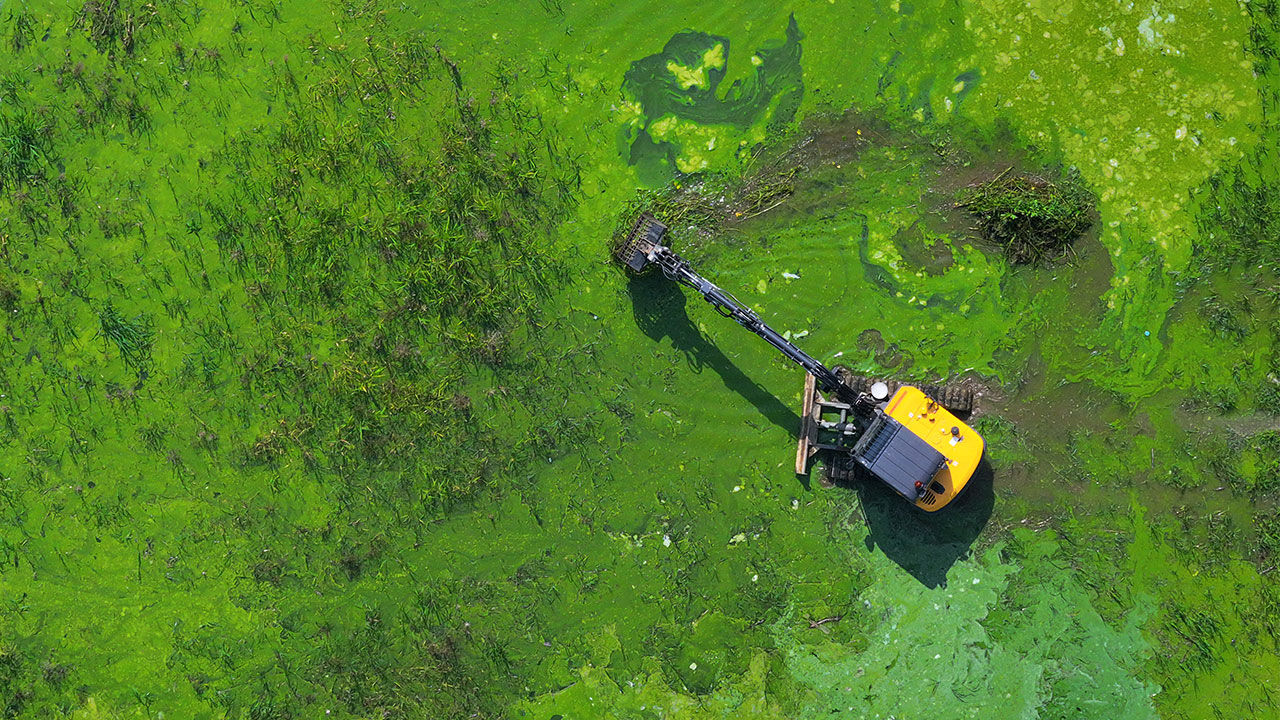 비점오염원에 오염된 저수지의 모습