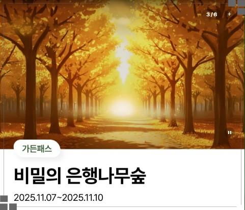 에버랜드 가든패스 필수! 11월 7일~10일, 국내 최대 '은행나무 군락지' 600명 한정 특별 개방
