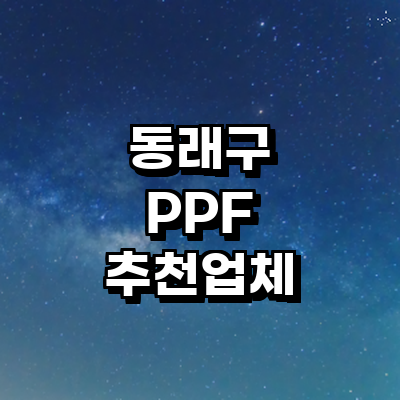 부산 동래구 ppf