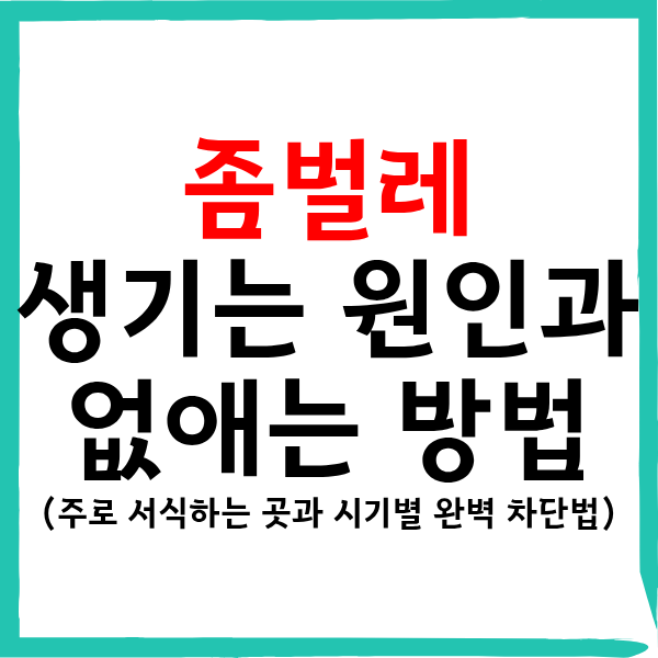 집안에 출몰하는 좀벌레 원인과 서식지 차단법