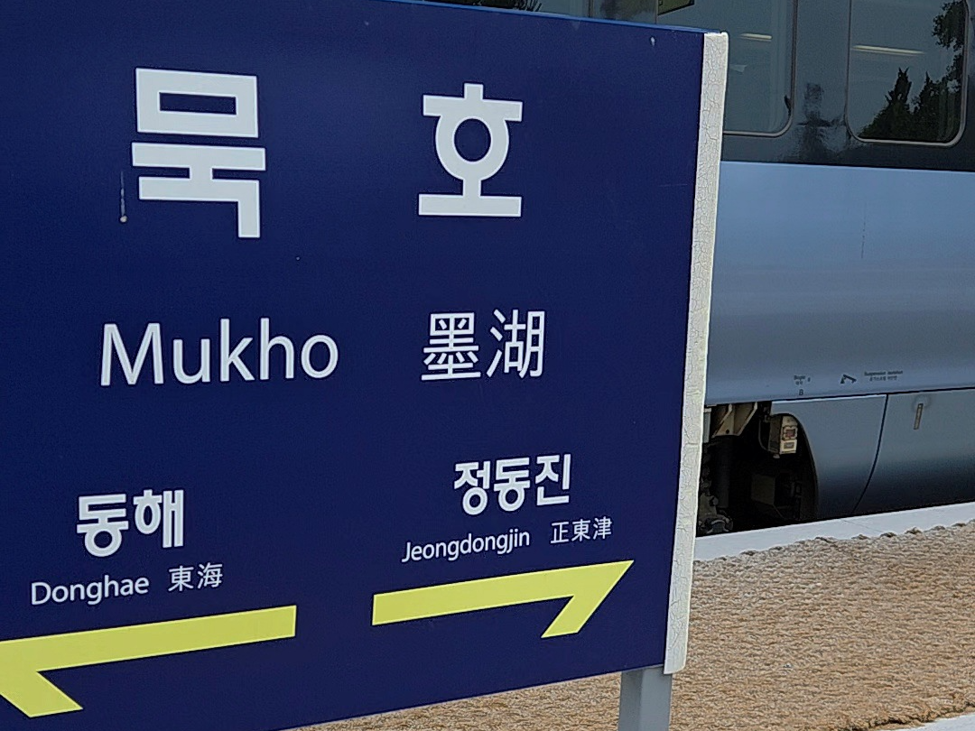 동해 묵호 어달해수욕장 가는 법 총정리❘ 주차 명당·대중교통·동해시티투어버스