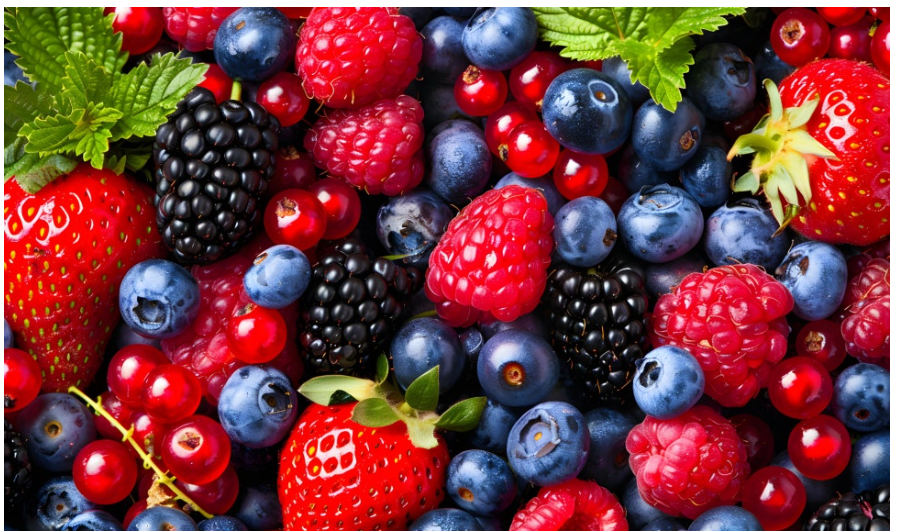 슈퍼푸드 베리류, 여성의 뇌 건강 지킴이 관련 이미지