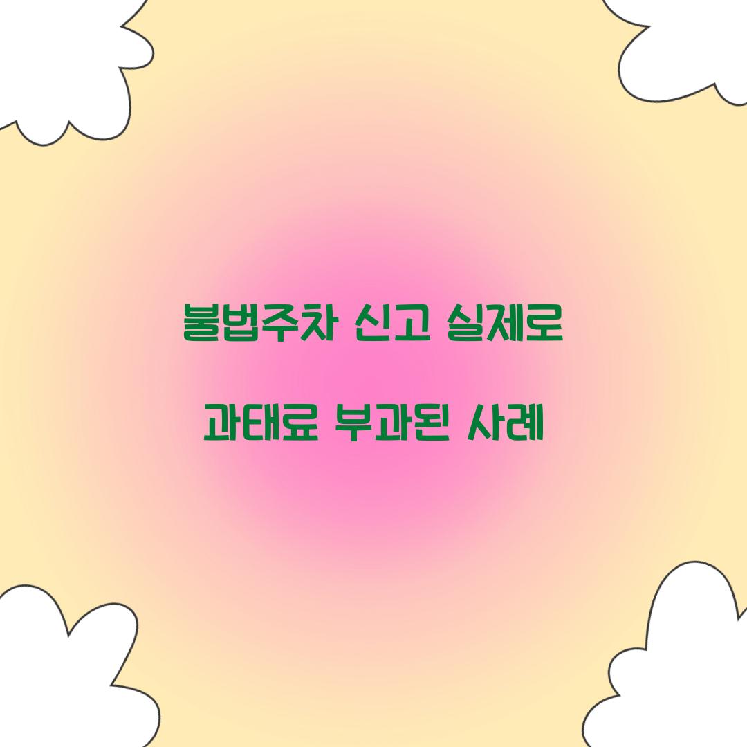 불법주차 신고 실제로 과태료 부과된 사례