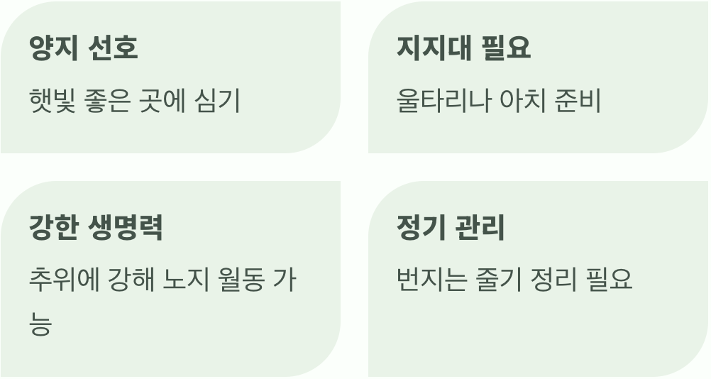 집에서 키울 수 있을까?