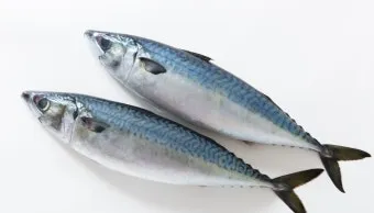 고등어 굽는 방법 비린내 잡기 레시피_12