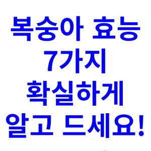 복숭아-효능