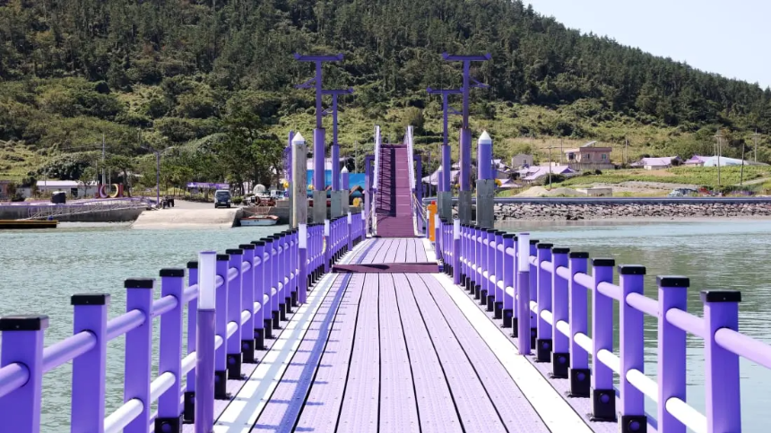 신안 퍼플섬 여행 가이드 - 보랏빛 낭만 속으로!