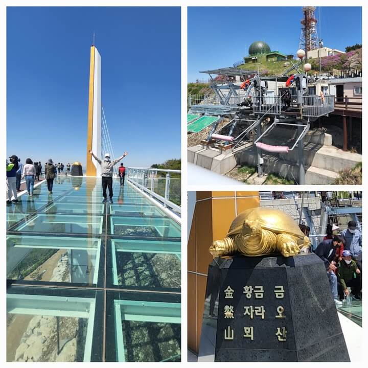 유리로 된 바닥과 돌 위의 자라 동상