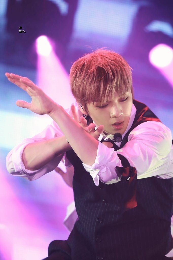 워너원 활동