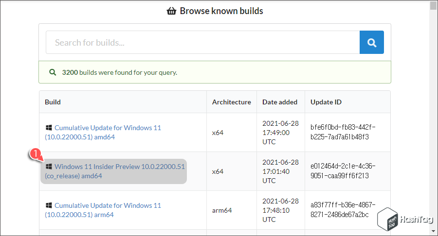 Windows 11 Insider Preview 10.0.22000.51