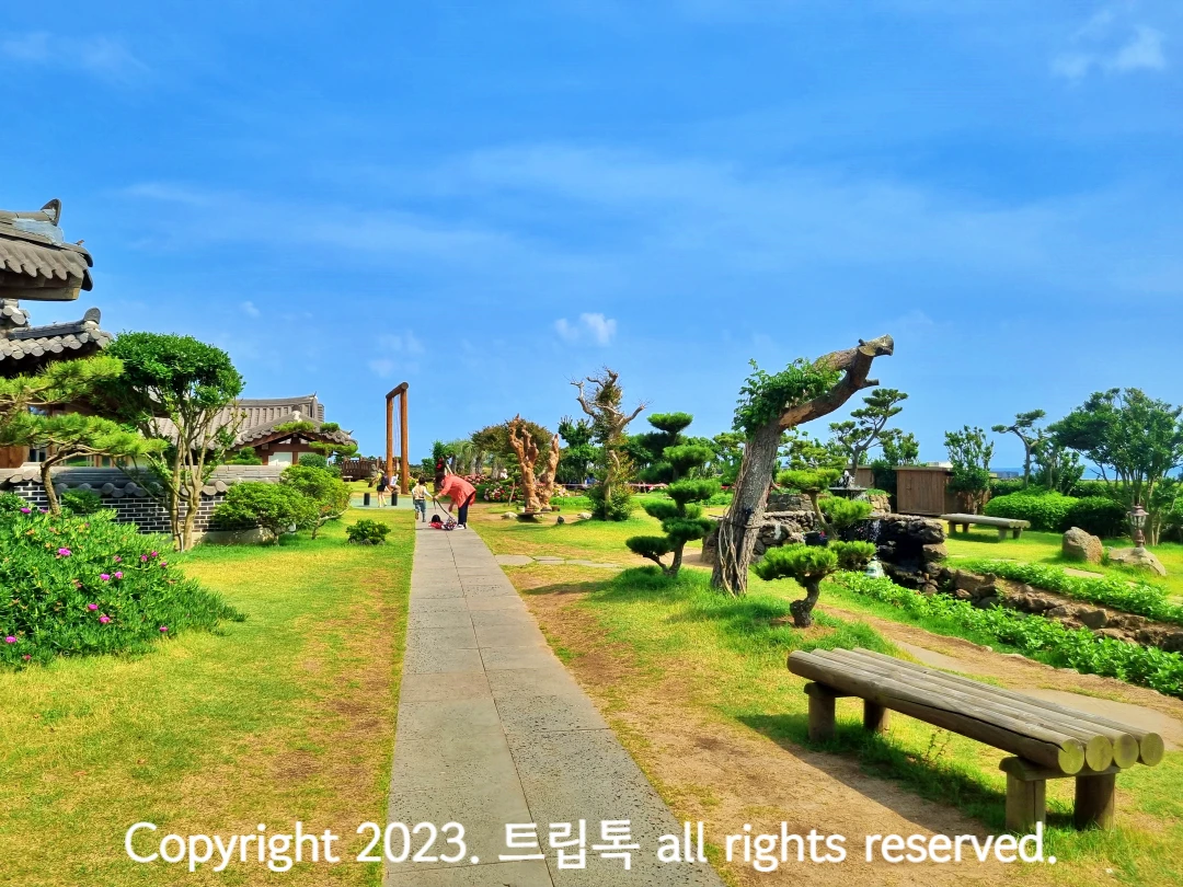 파란하늘아래 연두색 잔디 정원이다. 나무 의자와 한옥과 저멀리 커다란 나무 그네가 있다