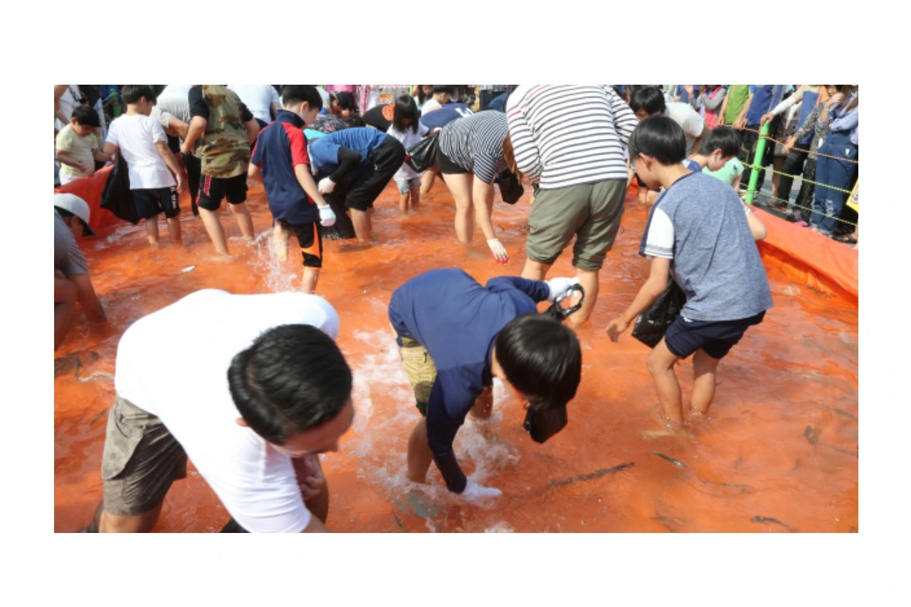 전어 축제 2025, 서천 홍원항 자연산 전어 꽃게 축제