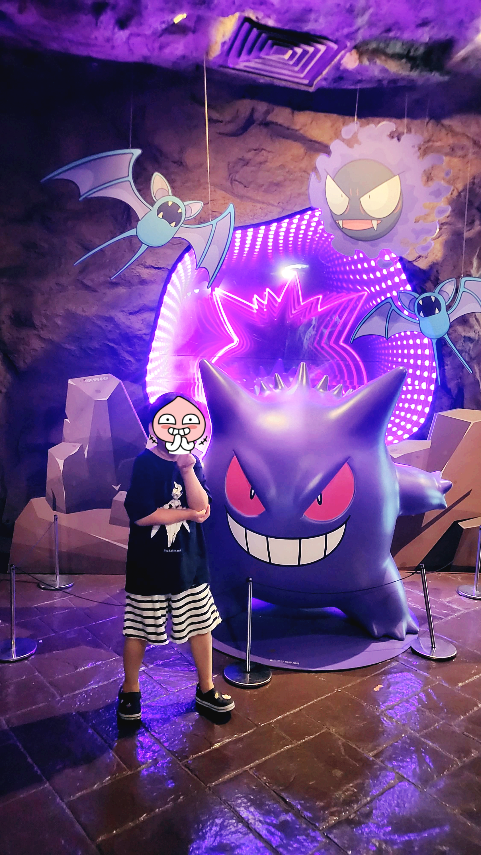 내부 포켓몬 중 팬텀