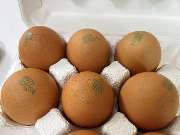 삶은계란-날계란-차이점