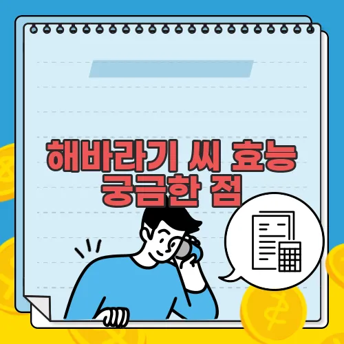 해바라기 씨 효능 궁금한 점, 풀어보죠