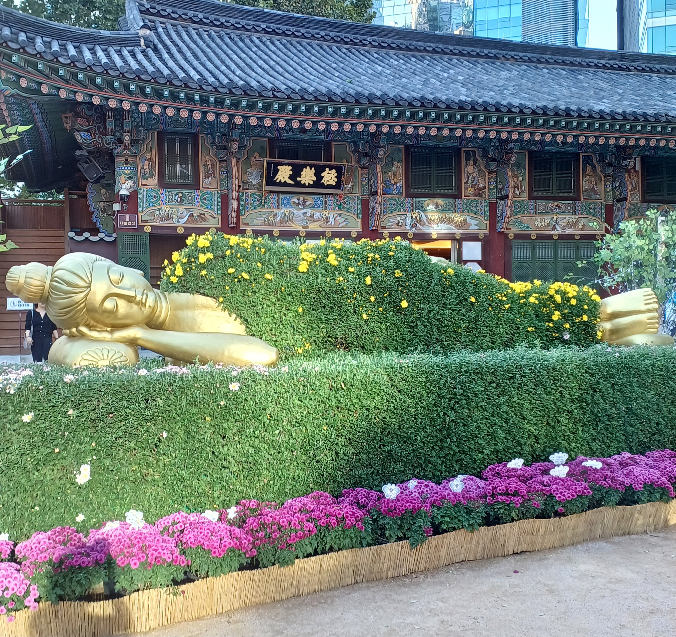 조계사-국화축제-10