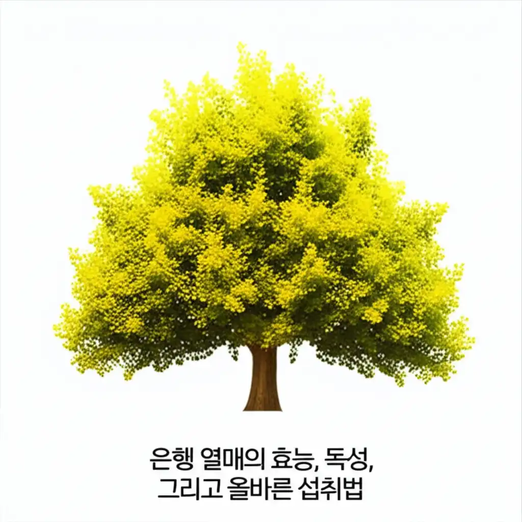 은행나무_fruit-benefits-toxicity