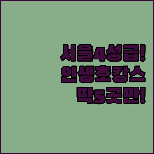서울 4성급 호캉스 호텔 추천 TOP..