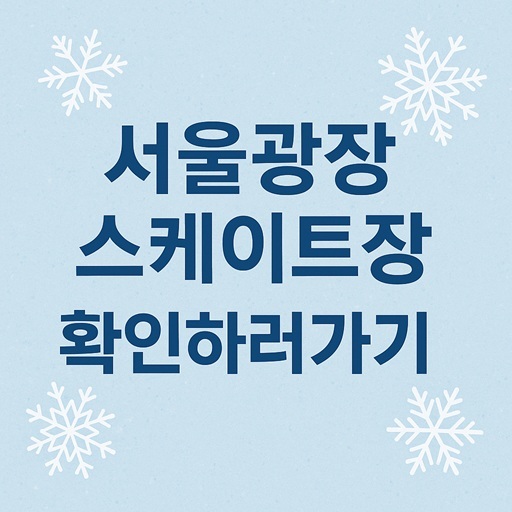 2025-2026 서울광장 스케이트장