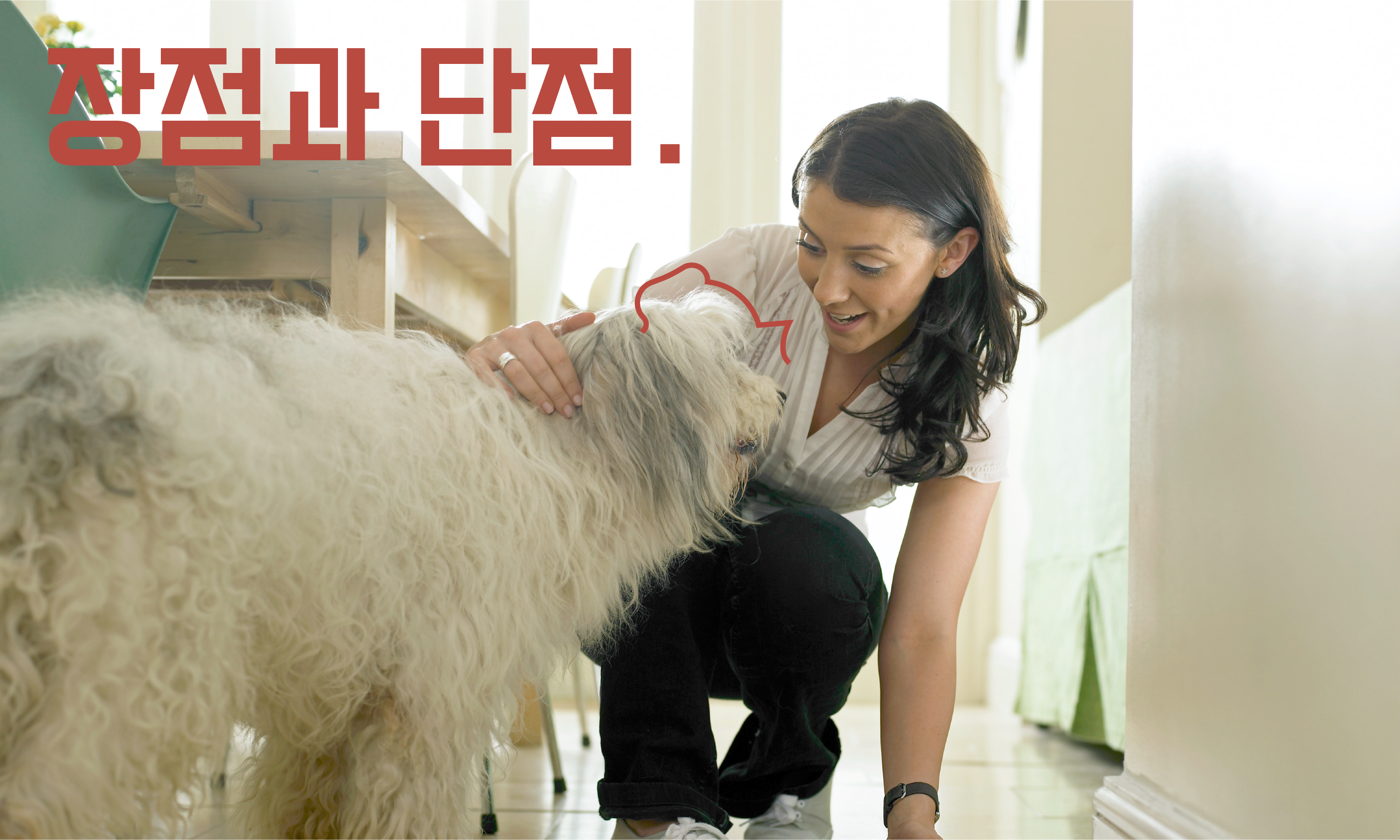 강아지-특식