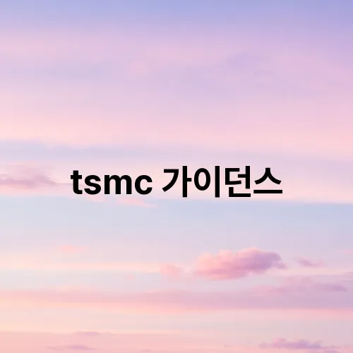 tsmc 가이던스