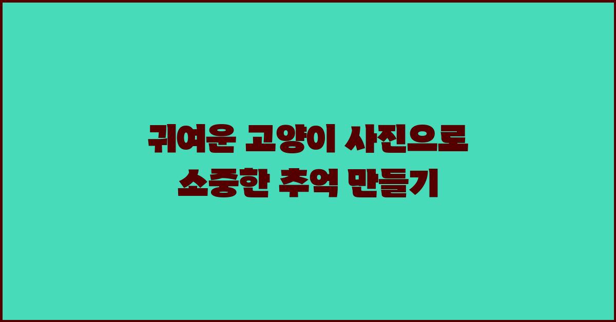 귀여운 고양이 사진