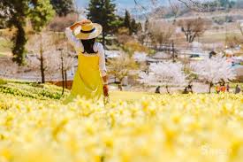 봄맞이 여행, 이제 슬슬 따뜻해지는데 어딜 가볼까요?